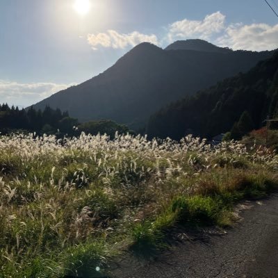 riratb99's profile picture. NICO⇄ZION ロックバンドど素人の感想置き場は🔗にて