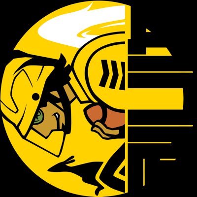 タコスフィーバーさんのプロフィール画像
