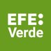 EFEverde (@efeverde) Twitter profile photo EFEverde (@efeverde) Twitter profile photo