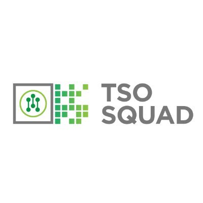 The TSO Squad is the overarching initiative that interlinks various TSO campus hubs across different educational institutions in Ogun State.