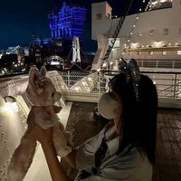 まなみ (@manami394648) 's Twitter Profile