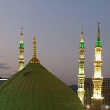 كأنما الصعب لم يسهل له سبب يوماً ولا مَلك الدنيا سليمان .