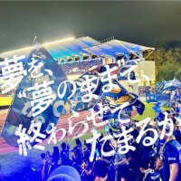 にくきゅう (@akira4zelvia) 's Twitter Profile Photo にくきゅう (@akira4zelvia) 's Twitter Profile Photo