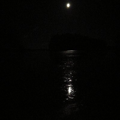 AnneMaaritS's profile picture. Alive, not living.