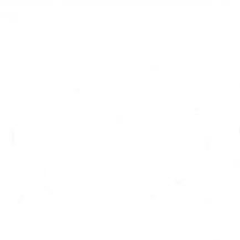 s_o_n_156's profile picture. 04（21） #18 琉球ゴールデンキングス 🌺👑