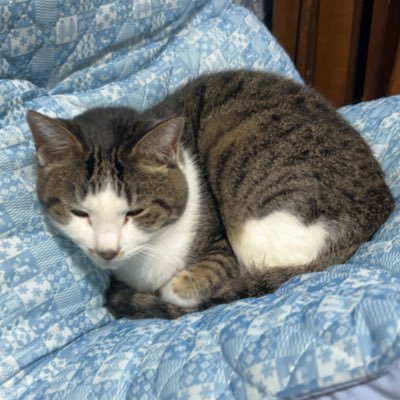 te_tsu082116's profile picture. メタルから始まりスラッシュメタルそして最近はデスメタルに手を出してるオッサンです✨ マイケルシェンカー神🎸信仰者なので宜しくお願いします🤲 ドラゴンズファンですがまったりと応援することにしました😃