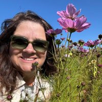 Missy Pfaltzgraf (@missypfaltzgraf) Twitter profile photo