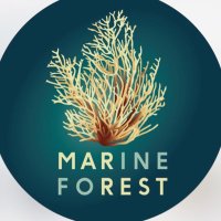 Marine Forest (@marineforest_) 's Twitter Profile Photo Marine Forest (@marineforest_) 's Twitter Profile Photo