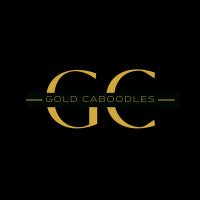 FASHION ACCESSORIES IN LAGOS & ABEOKUTA (PBD/1320) (@gold_caboodles) 's Twitter Profile