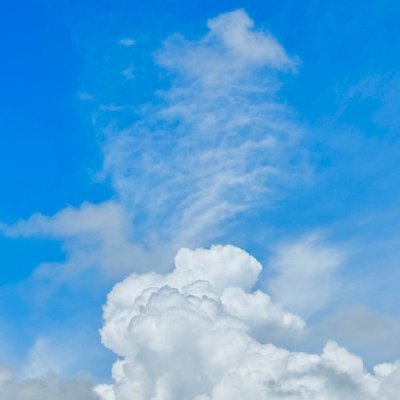 goyohan98382980's profile picture. 