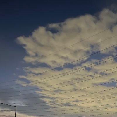 ＳＡＲＡさんのプロフィール画像