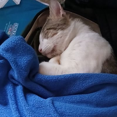 Soy una persona que no quiere hipócritas a mi alrededor