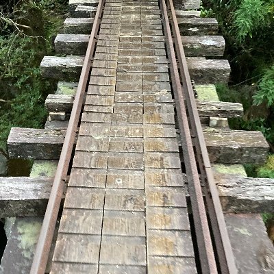 Bezx9Y's profile picture. ゆるく生きたい