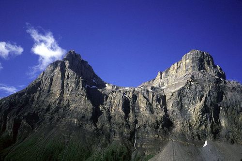 radicaljack's profile picture. 