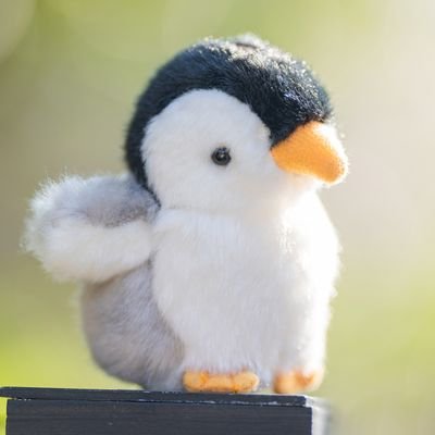 写真を嗜む人/写真好きな人と仲良くなりたいです! 都内で主にポートレートを撮っています。
9月20日(土)~21日(日)「さや展」、10月24日(金)〜26日(日)「クロス展5」