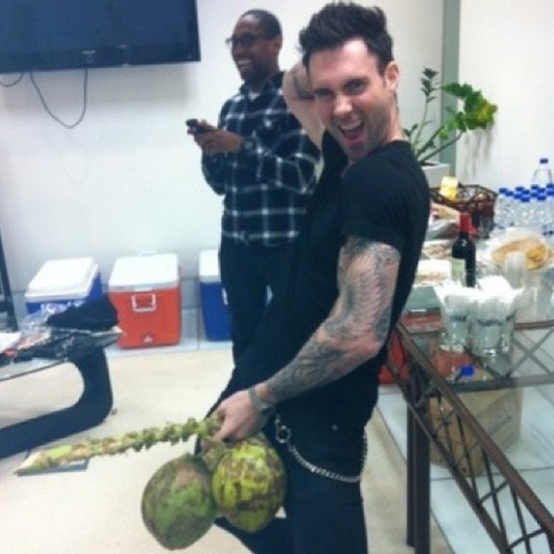 FakingAdam's profile picture. Adam Levine here! Lead singer of the popular band, Maroon 5! I got them Moves Like Jagger, ladies. All around fun-guy. {RP.NOTAdamLevine!18+}