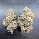 Walter Schultz - @WalterSchu68305 - Twitter