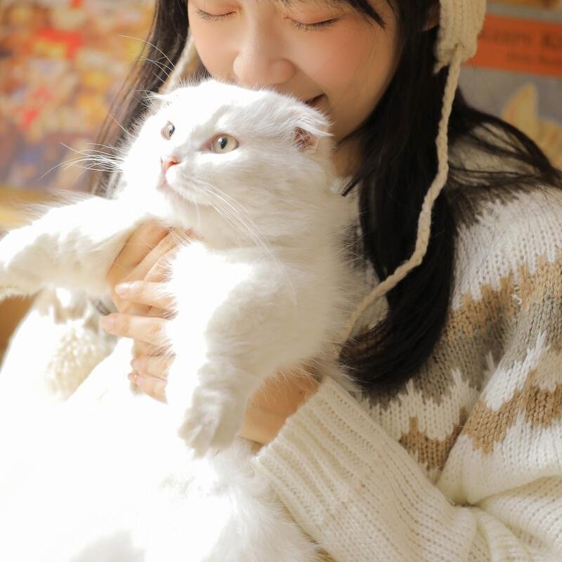 GPalmerz60852's profile picture. 誰說現在是冬天呢?當你在我身旁時，我感到百花齊放，鳥唱蟬鳴。