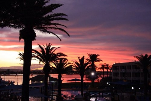 fayqam's profile picture. 