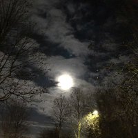 Volles Mondlicht (@vollesmondlicht) 's Twitter Profile Photo Volles Mondlicht (@vollesmondlicht) 's Twitter Profile Photo