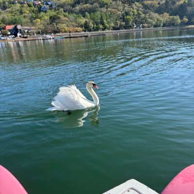 iamlil_kazu's profile picture. Lv.23