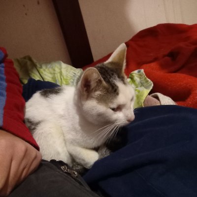 AgguGutierrez's profile picture. 