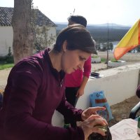 soledad aranda (@soul782005) 's Twitter Profile