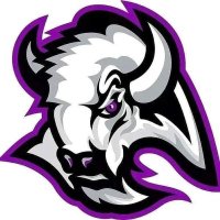 A.H. ParkerLadyBisonBasketball (@ahparkerladybi1) 's Twitter Profile