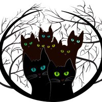 Maria Blair (@mariablair25639) 's Twitter Profile