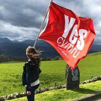 Nel Glyndŵr (@highwaysqueak) 's Twitter Profile Photo