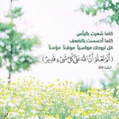 لاتغرك صفحتي مجرد إنسانه،مجرد قلب بين إصبعيه يُقلبه كيفما يشاء 🍃أكتب لأُبقي أثرًا حسناً 🤍🌧️