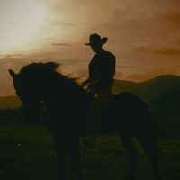 Rhys (@rhysvkt) 's Twitter Profile