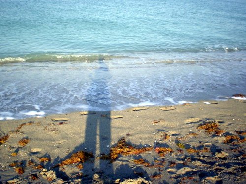 OLStockProfits's profile picture. Always testing new waters in #StockTrading, #Forex, & #PennyStocks ...it's YOUR money - invest it wisely :D