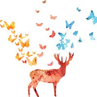 Hoàng Ngọc Bích (@hongngcbch78125) 's Twitter Profile