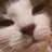 ACMarino's profile image