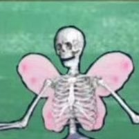 maohaomei's profile picture. 