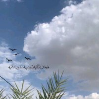 Eman Mohamed (@emanmohamed246) 's Twitter Profile