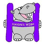 Haydn's Wish(@HaydnsWish) 's Twitter Profile Photo