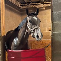 Marko (@texasraintb) 's Twitter Profile