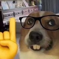 dr. blank (@idgafplsss) 's Twitter Profile Photo dr. blank (@idgafplsss) 's Twitter Profile Photo