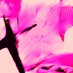 donsparrow🦇 (@sparrowzeudon) Twitter profile photo donsparrow🦇 (@sparrowzeudon) Twitter profile photo