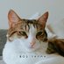 𝔖𝔲𝔯𝔢𝔶𝔶𝔞 (@sureyyathequeen) Twitter profile photo 𝔖𝔲𝔯𝔢𝔶𝔶𝔞 (@sureyyathequeen) Twitter profile photo