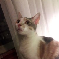 Ebru Firidin (@ebrufiridin) 's Twitter Profile Photo Ebru Firidin (@ebrufiridin) 's Twitter Profile Photo