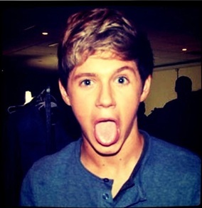 Love Love Loveee One Directionn...think there amazing especially Niall Horannn..he's just the hottest boy on the planet and has the cutest laugh:')