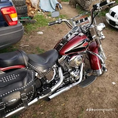 GrowingHippie77's profile picture. 