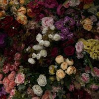 مـيّ (@_0itsmay) 's Twitter Profile