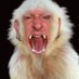 Jack Schitt (@fluffsuit) Twitter profile photo Jack Schitt (@fluffsuit) Twitter profile photo