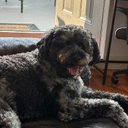 Joann Casey - @joann_case3872 - Twitter