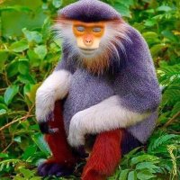 rat jackson (@ratjackson_) 's Twitter Profile Photo rat jackson (@ratjackson_) 's Twitter Profile Photo