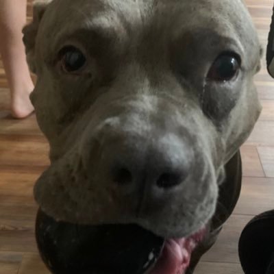 Parks2032912's profile picture. 